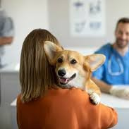 Повторный прием