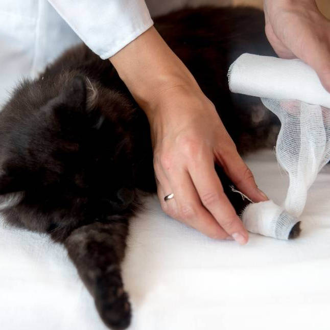 Обработка раны без наложения швов