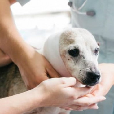 Снятие послеоперационных швов