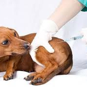 Укол препарата