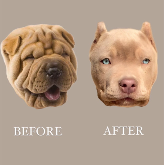 Нет морщинкам full face