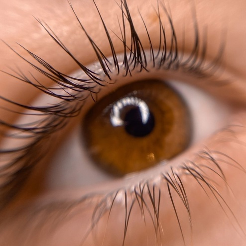 Покраска ресниц краской