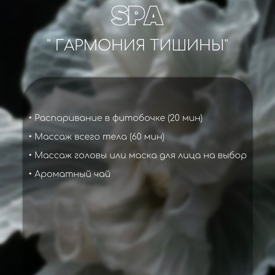 Спа программа "Гармония тишины "