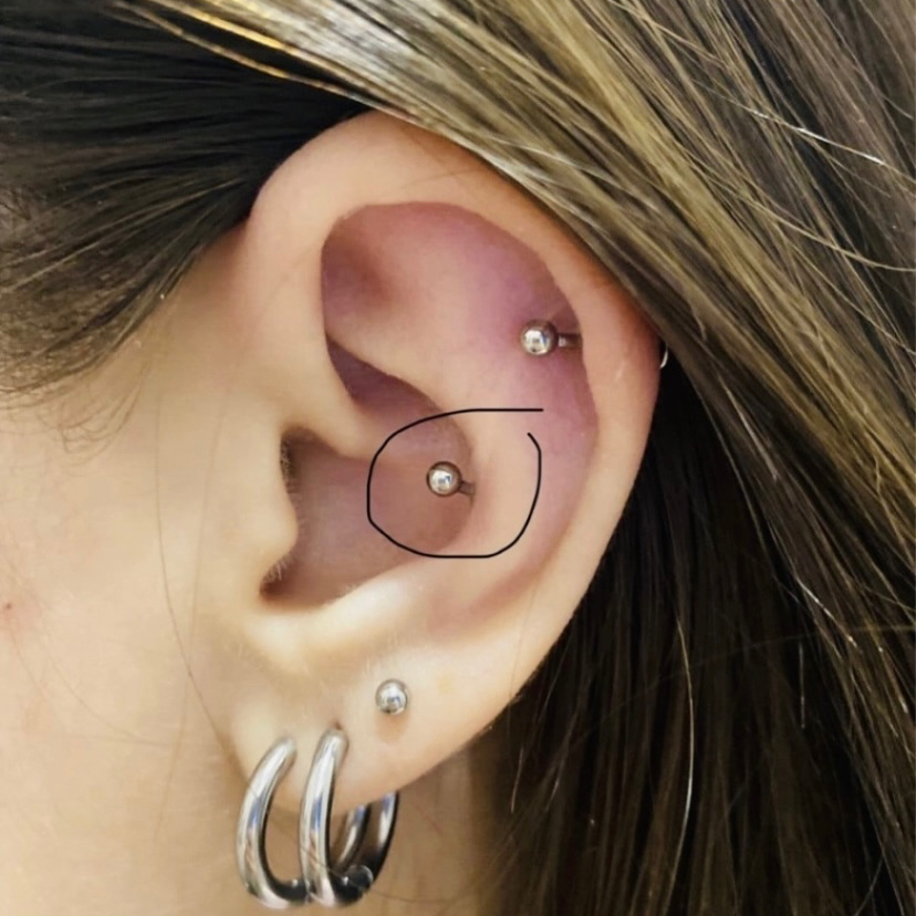 Пирсинг Конч