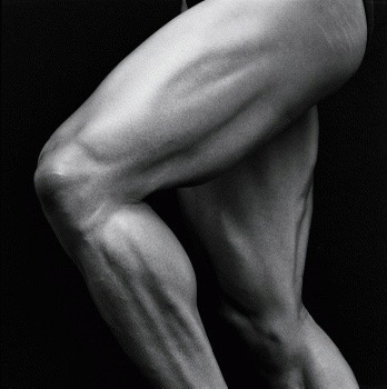 Ноги полностью