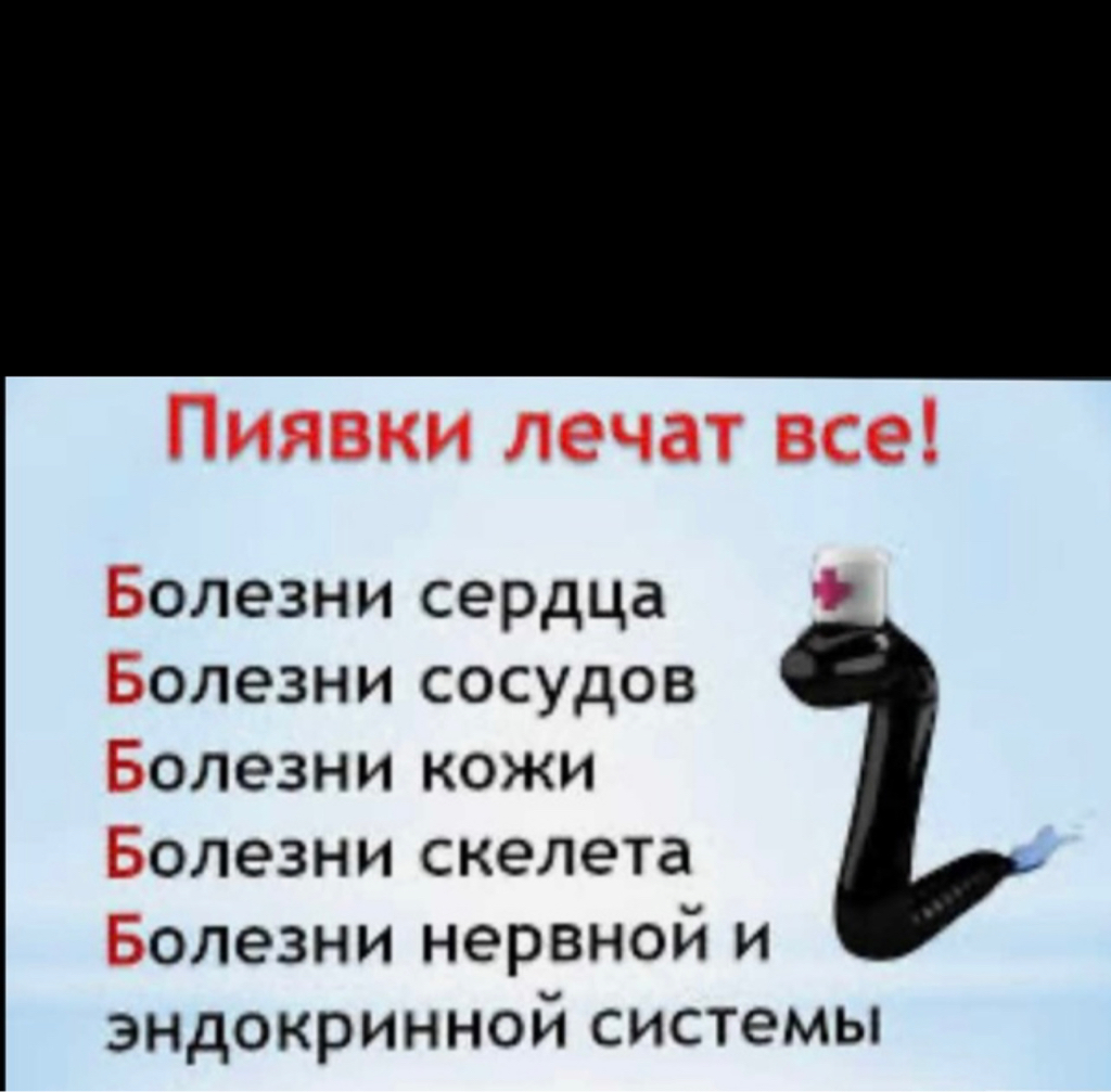 Гирудотерапия ( 1 пиявка 400 руб)