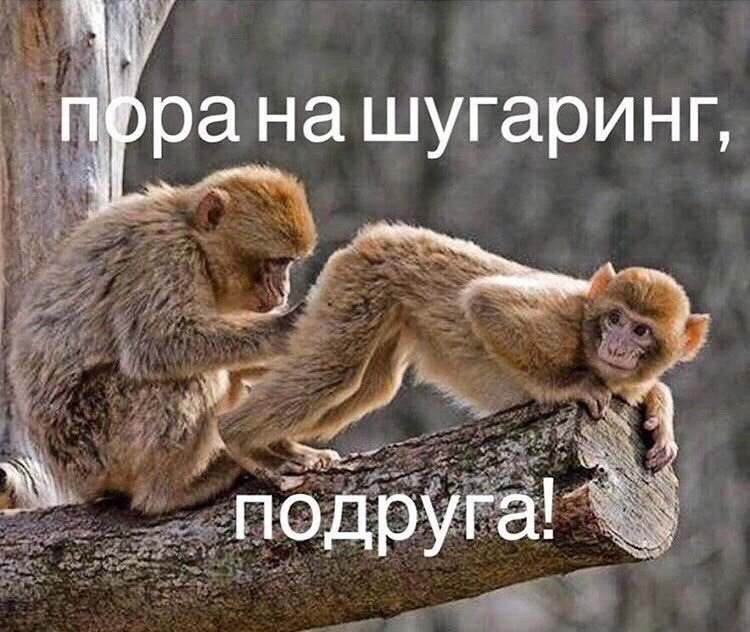 Глубокое Бикини 👙Шугаринг