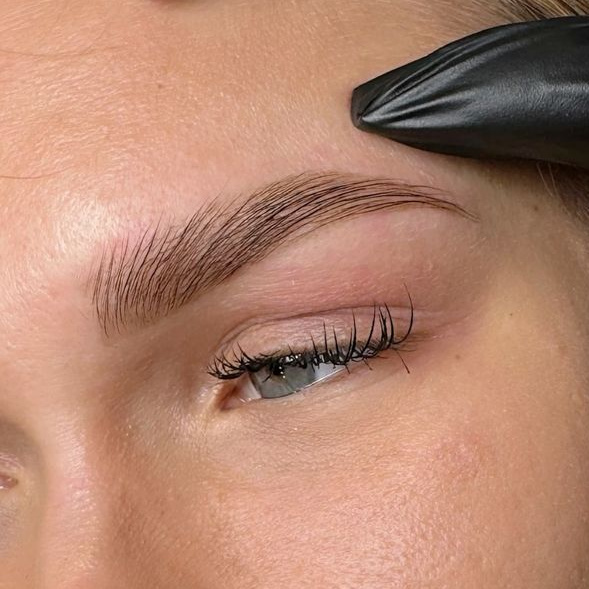 Архитектура бровей