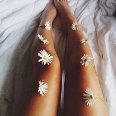 Ноги полностью