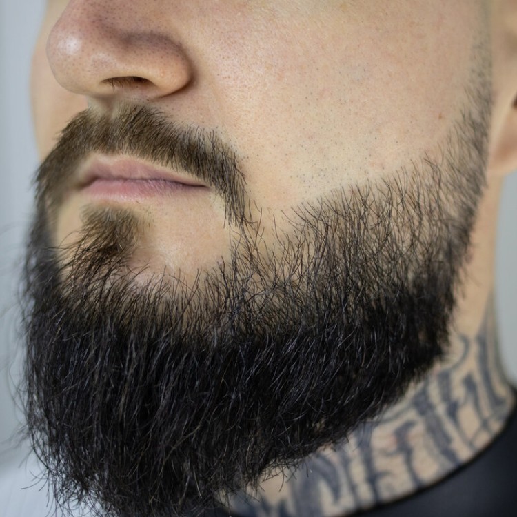 Стрижка бороды (простая )