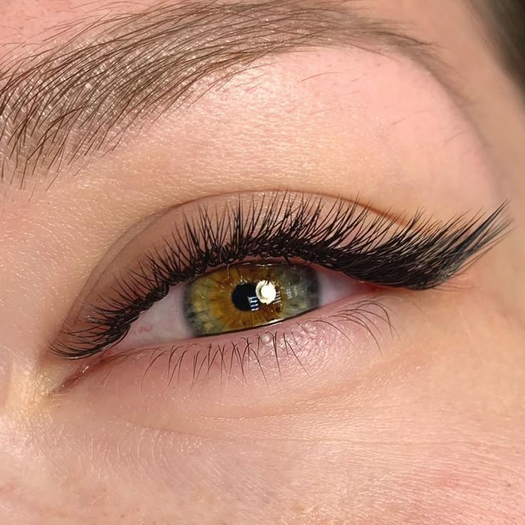 Наращивание ресниц 2D