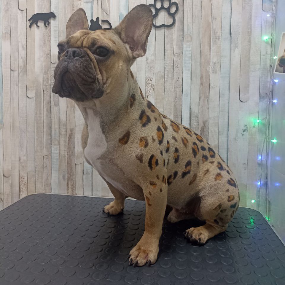 Окрашивание не сложное