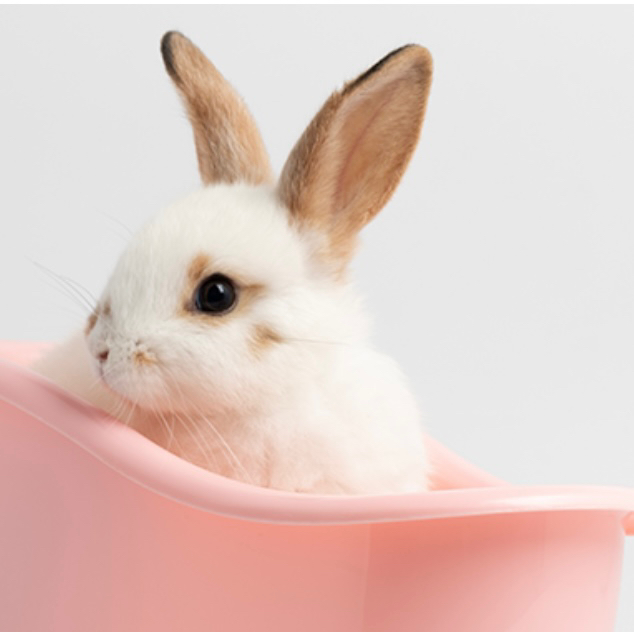 Полный комплекс для кроликов С КУПАНИЕМ