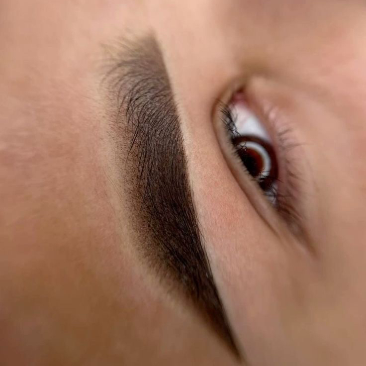 Перманент брів