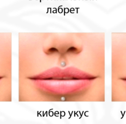 Укус кибера