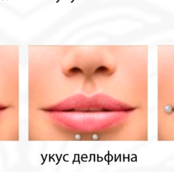 Укус дельфина