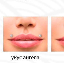 Укус ангела