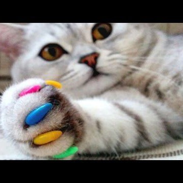 Антикоготки