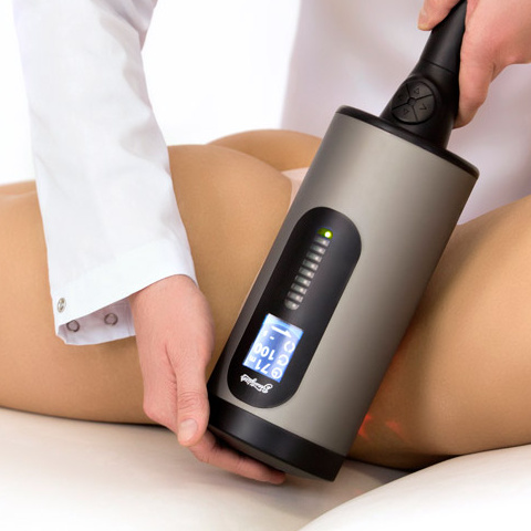 программы "тело мечты"