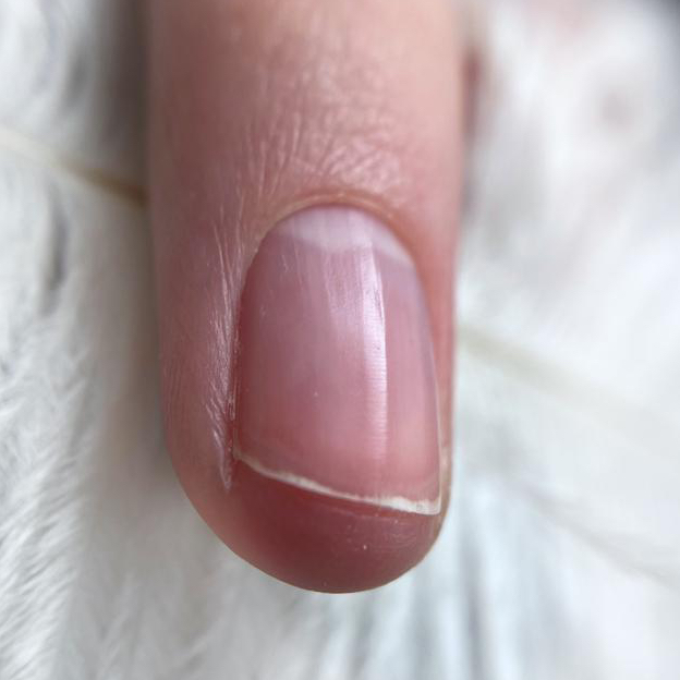 Курс «Японский маникюр»