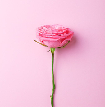 Подарочный сертификат онлайн / офлайн