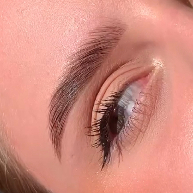 Ламинирование + коррекция + окрашивание ( топ-мастер )