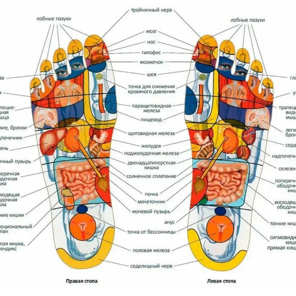 массаж рефлекторных зон стоп