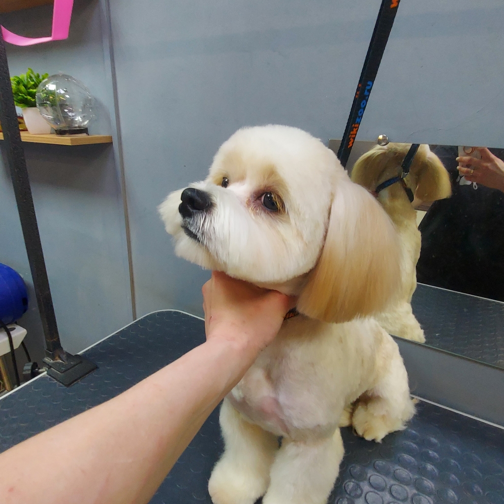 Комплексный уход Мальтипу