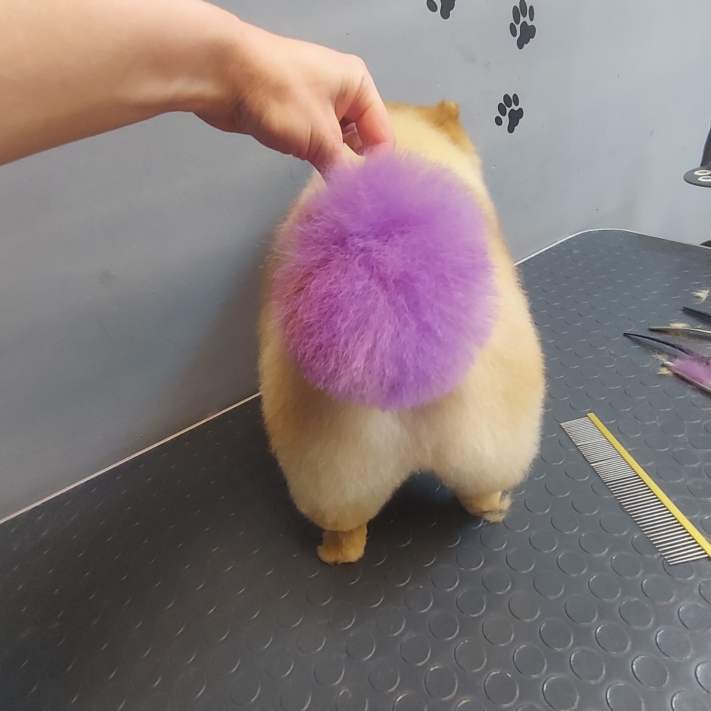 Окрашивание хвостика