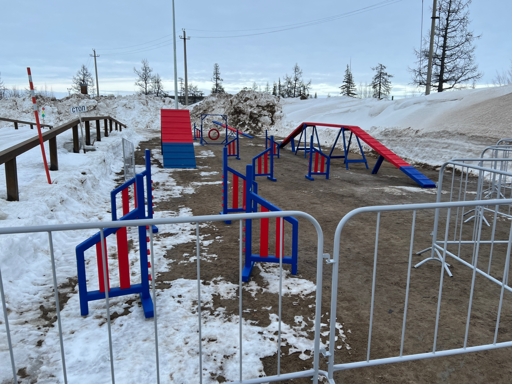 Персональная тренировка в Парке