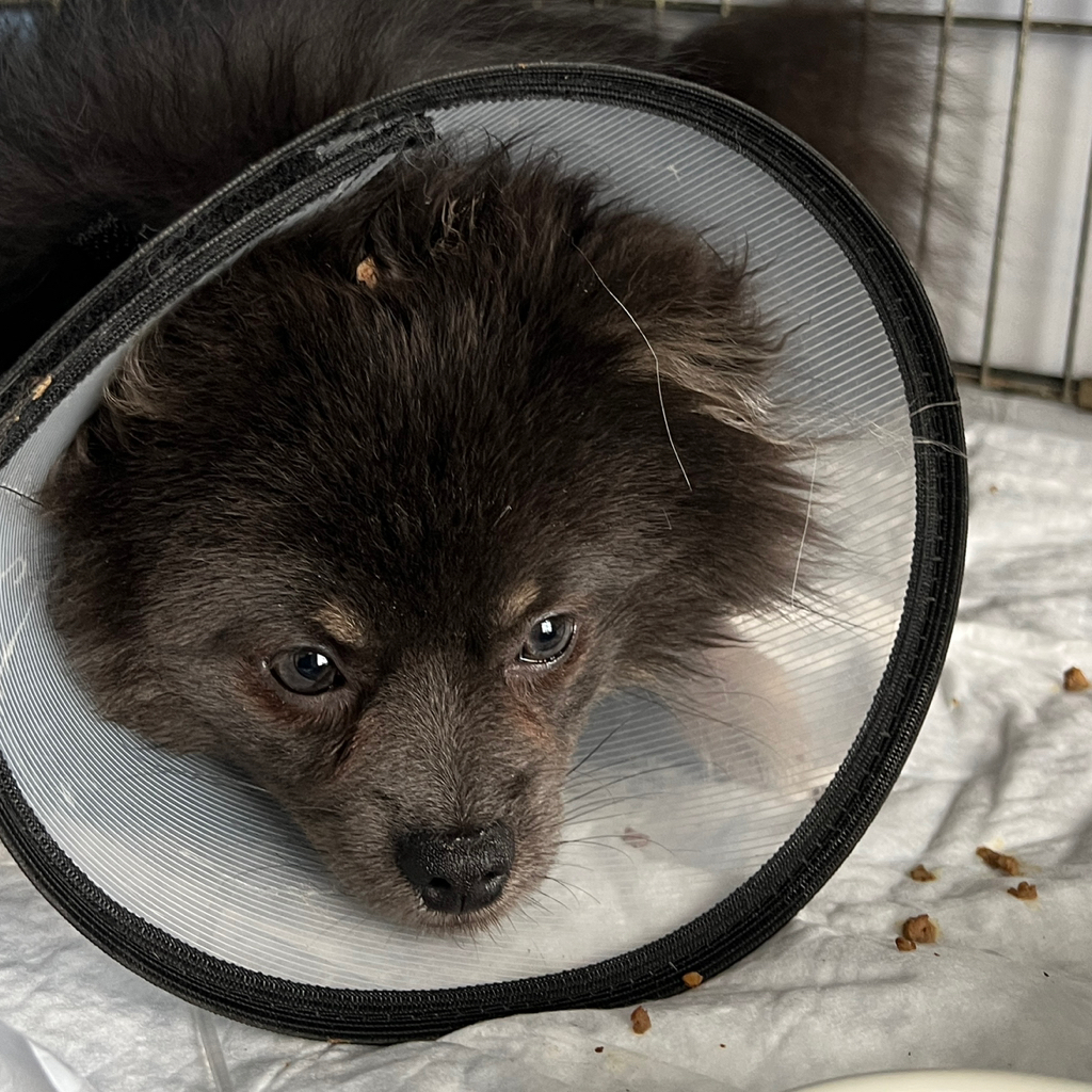 Первичный прием онколога