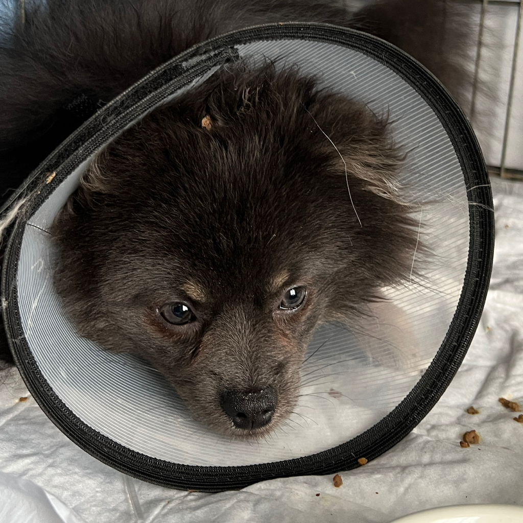 Повторный прием онколога