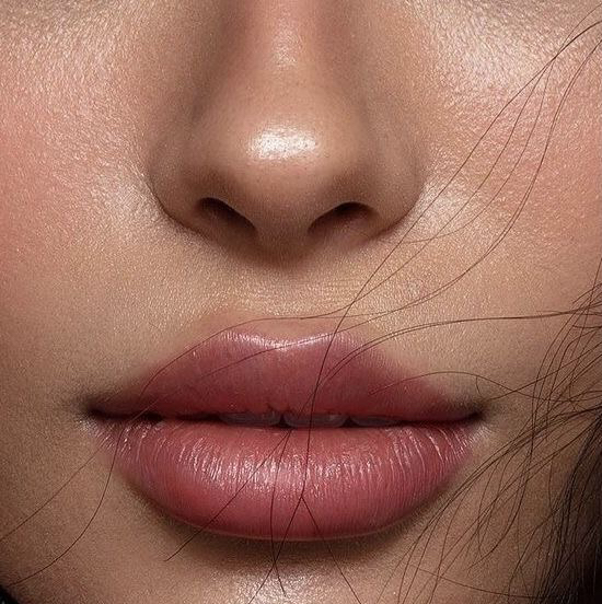 Верхняя губа