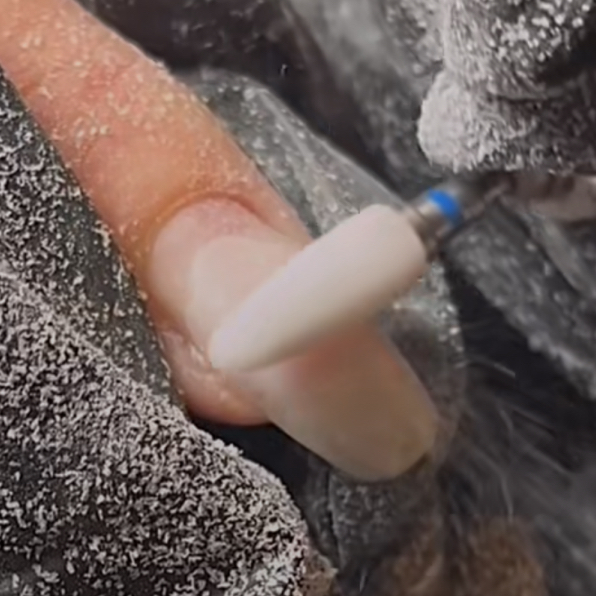 Полное снятие