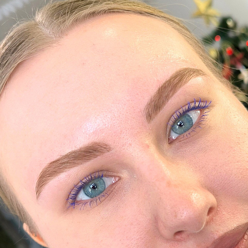 Коррекция бровей воск/пинцет с окрашиванием хна/краска