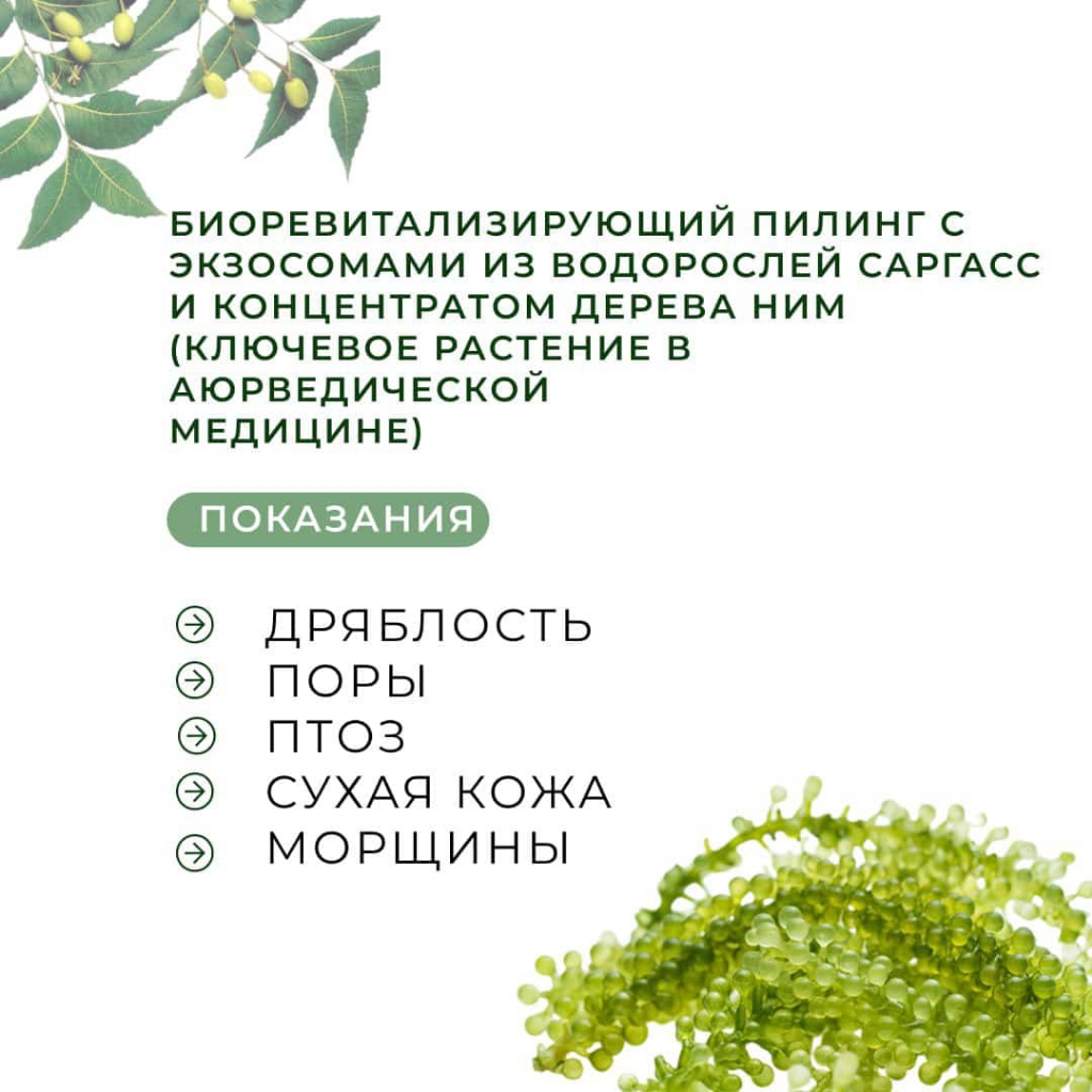 Bio Green Peel
