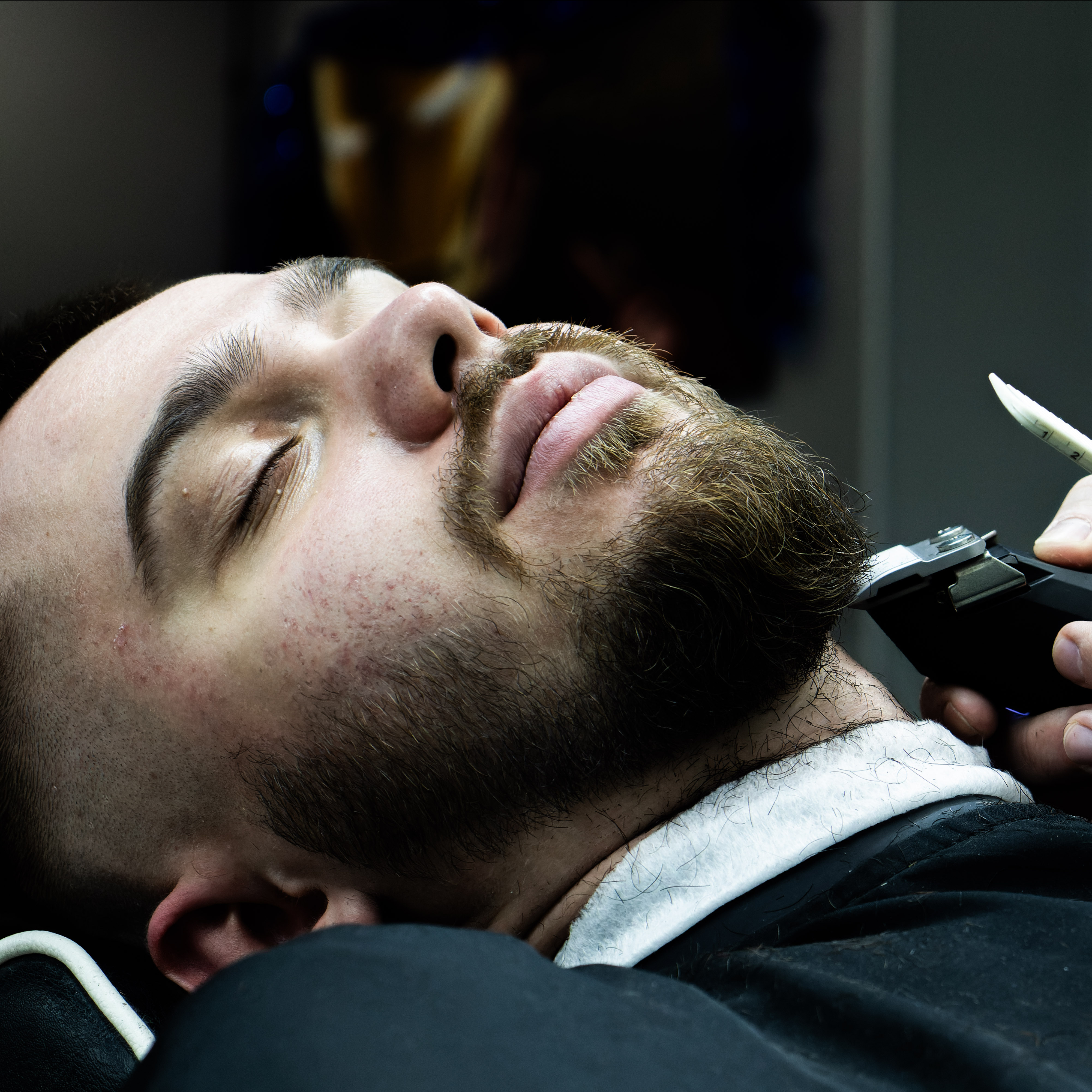 Моделирование Бороды