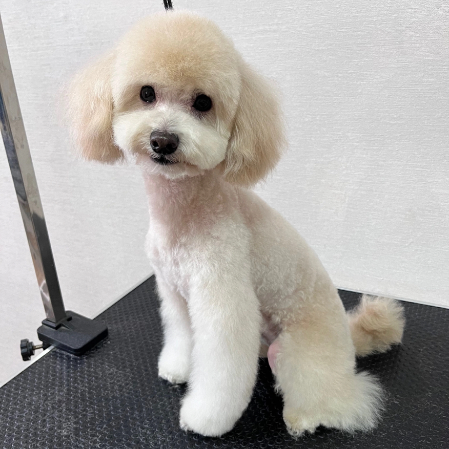 Комплекс «ТОЙ»