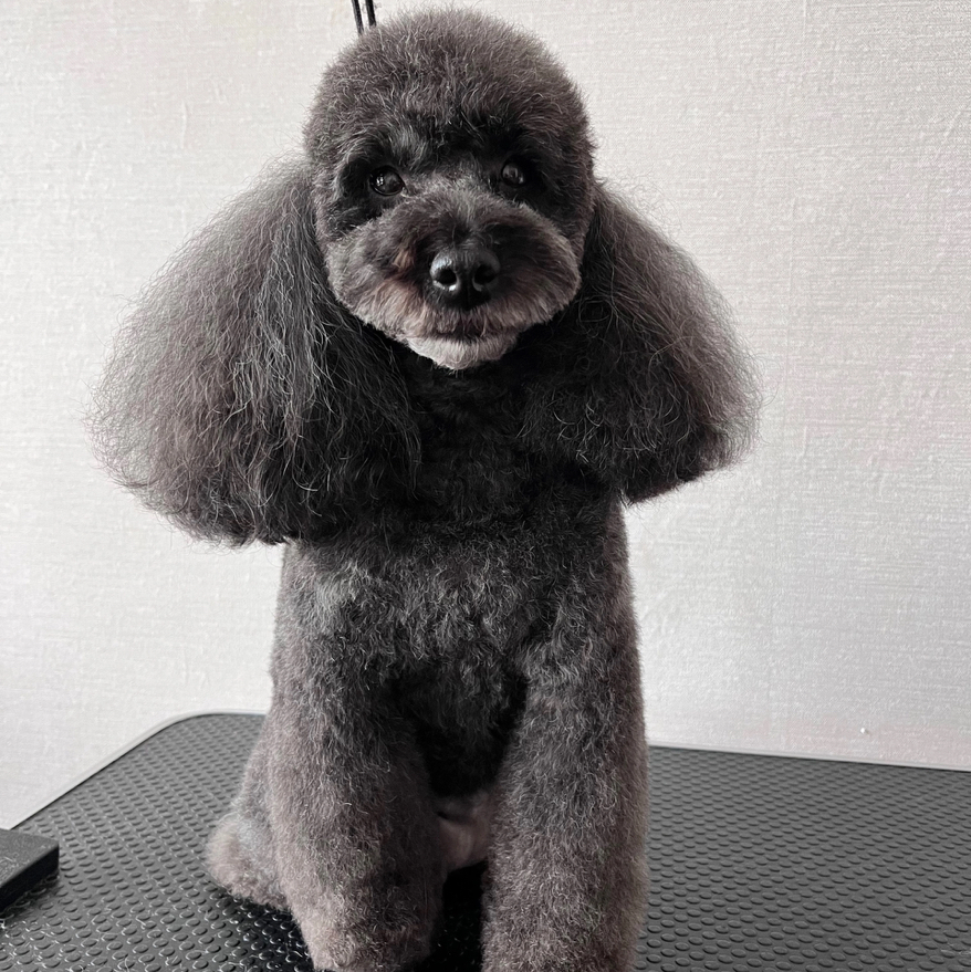 Комплекс «КАРЛИКОВЫЙ»