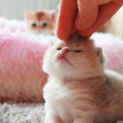 Релакс-массаж головы и ШВЗ + массаж стоп и голеней. Снятие тяжести, усталости и стресса от макушки до пяток, восстановление и хороший сон