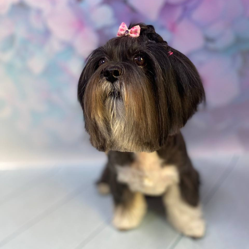 Лхаса апсо комплекс