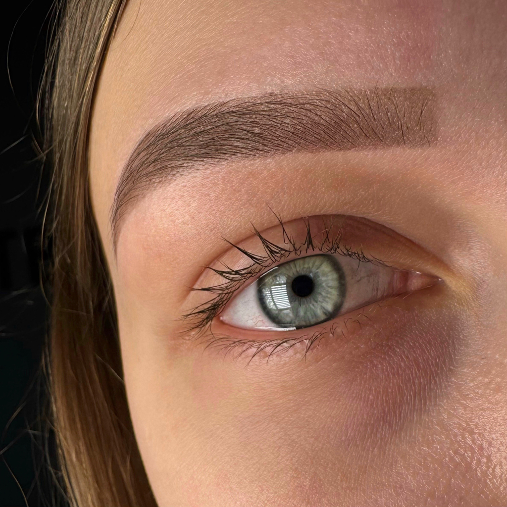 Коррекция + окрашивание бровей