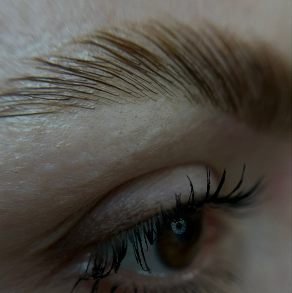 Ламинирование бровей с окрашиванием