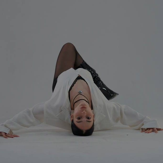 Гармония танца и тела (индивидуальное занятие)