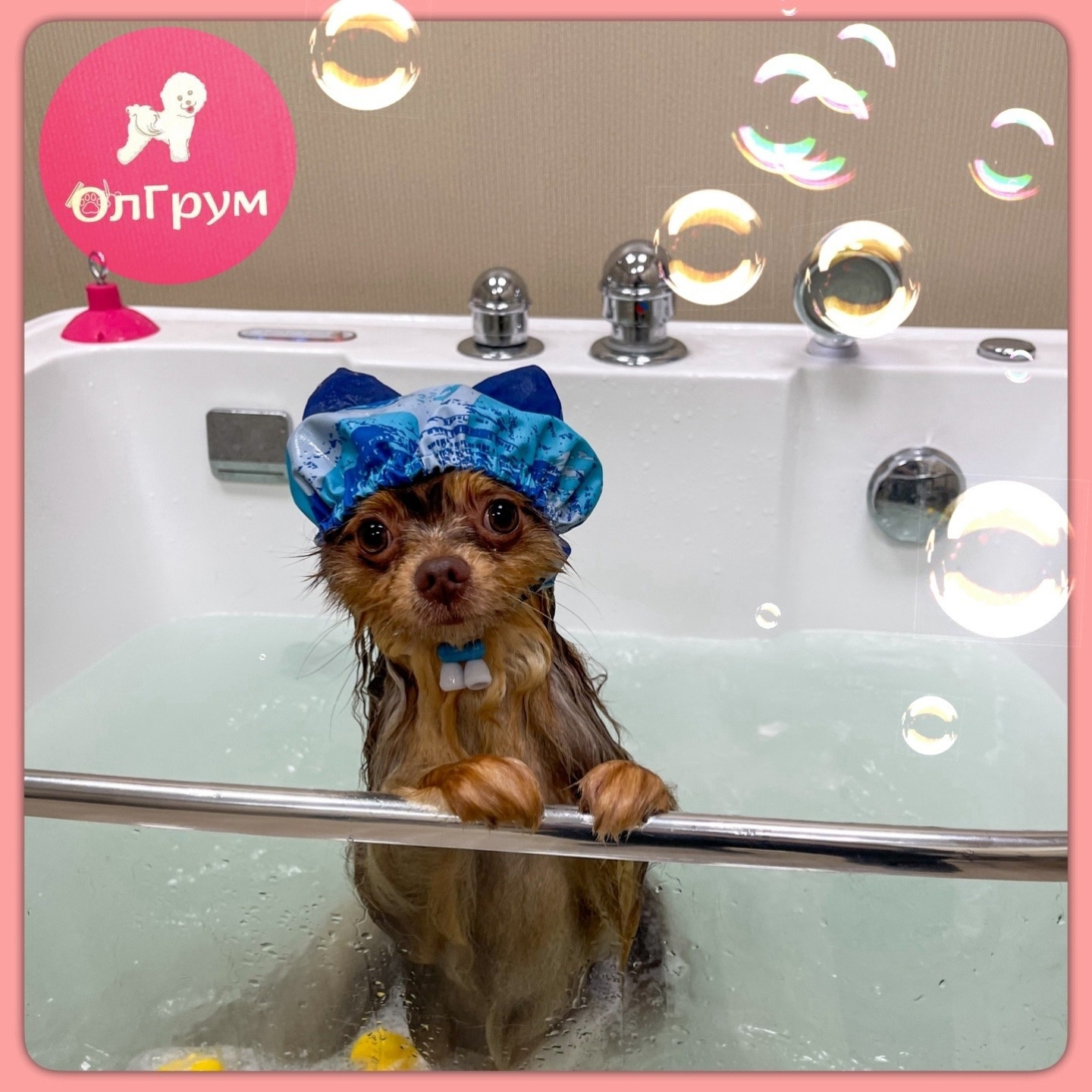 СПА-уход за кожей и шерстью для короткошёрстных пород 41-50 см в холке