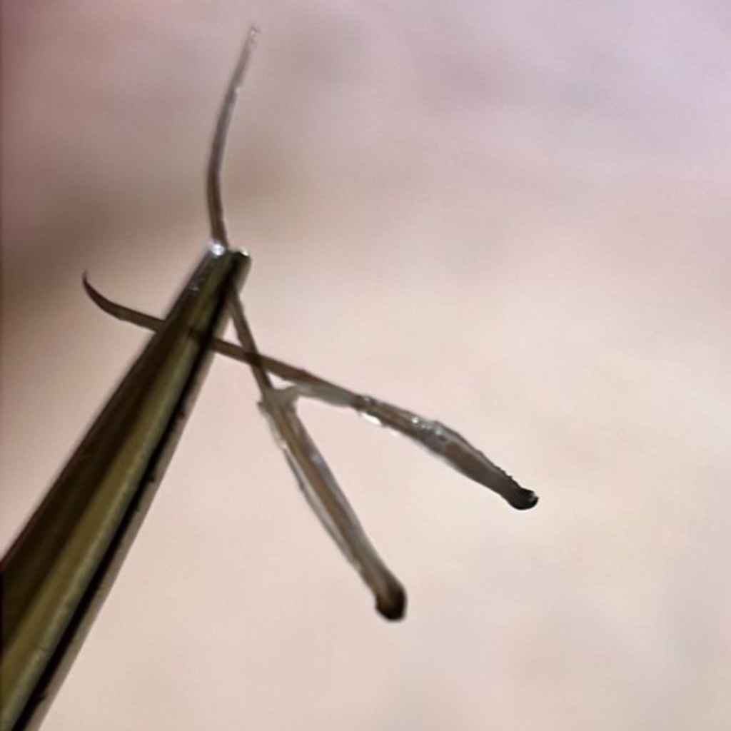 Пробный сеанс/консультация электррэпиляция