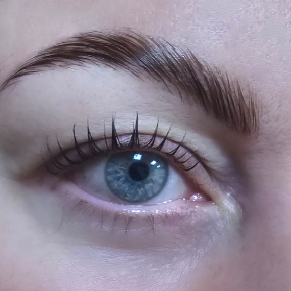 Обучение  Комбо Ламинирование  бровей и ресниц