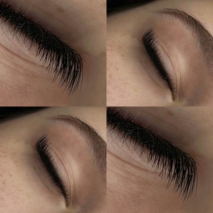 Обучение базовый курс