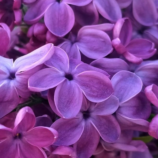 Энерго массаж