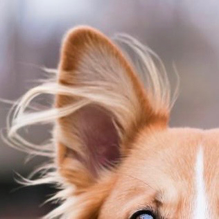 Чистка ушей